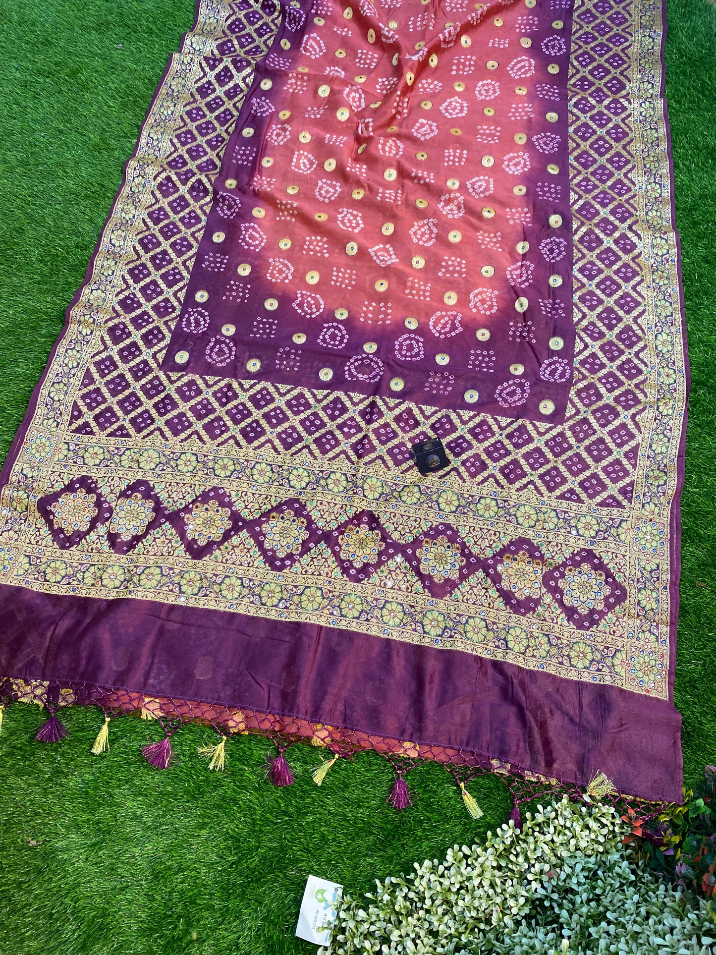 Cotton Bandhej Banarasi Saree With All Over Handwork